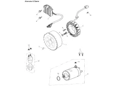 Bobina encendido Triumph Tiger 955 2001-2002