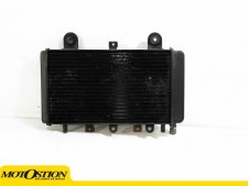 Radiador agua Triumph Tiger 955 2001-2002