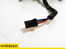 Piloto trasero Triumph tiger 955 2005 - 2006