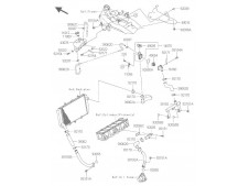 Deposito anticongelante Kawasaki Z 800 e 2013 - 2016