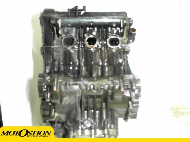 Motor  tiger 955 2005 - 2006