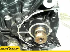 Motor  tiger 955 2005 - 2006