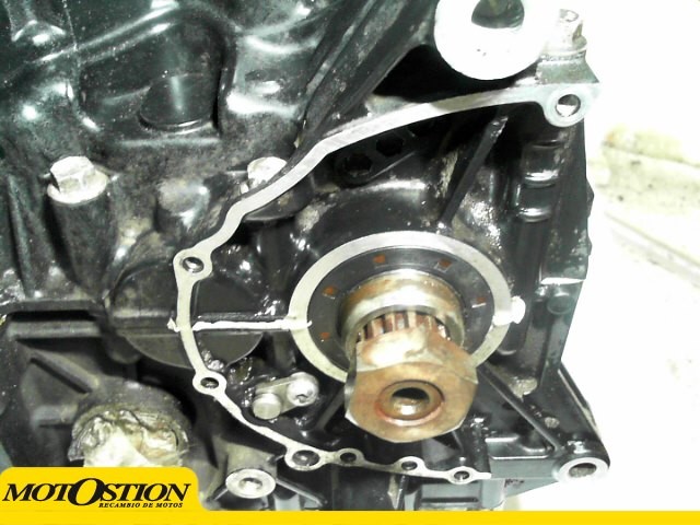 Motor  tiger 955 2005 - 2006