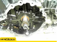 Motor  tiger 955 2005 - 2006