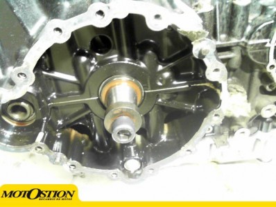 Motor  tiger 955 2005 - 2006