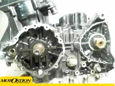 Motor  tiger 955 2005 - 2006