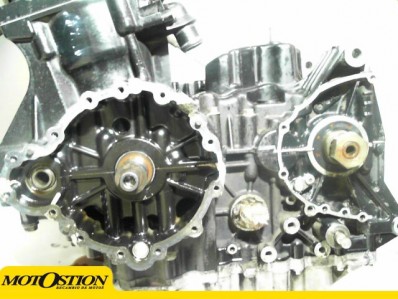 Motor  tiger 955 2005 - 2006