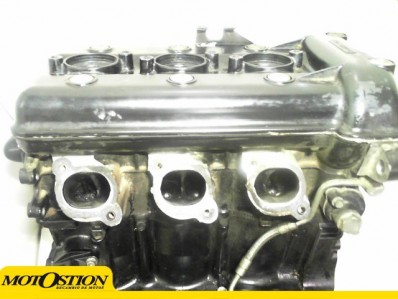 Motor  tiger 955 2005 - 2006