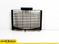 Rejilla Radiador Yamaha fz6s 600 2004-2005