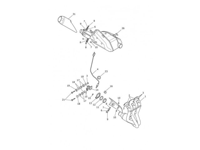 EMBELLECEDOR SILENCIOSO LATERAL Triumph Street triple 660 s 2020 - 2022