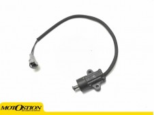INTERRUPTOR PATA DE CABRA Triumph Street triple 660 s 2020 - 2022