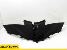 Cacha pequeña derecha DAELIM S2 250 2004-2007  despiece de moto