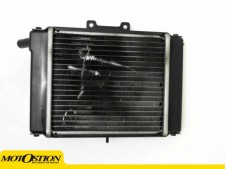 Radiador agua DAELIM S2 250 2004-2007  moto