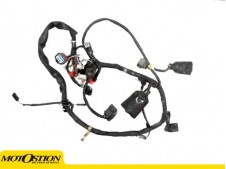 Sistema electrico completo HONDA CBF 250 2004-2008  despiece de moto