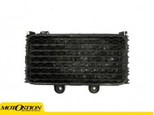 Radiador aceite Suzuki Bandit 600 2004-2005