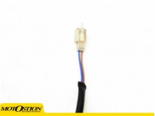 Interruptor freno trasero Triumph Speed four 600 2003-2006
