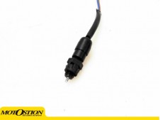 Interruptor freno trasero Triumph Speed four 600 2003-2006
