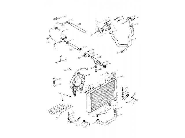 Tapon radiador Triumph speed four 600 2003-2006