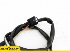 Interruptor pata de cabra Bmw f800 r 2017 - 2019