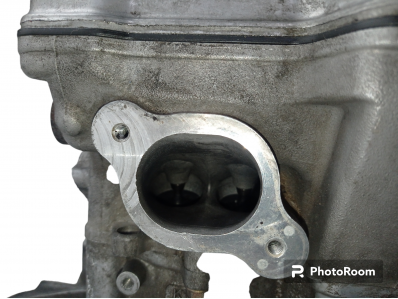 Motor perfecto xciting 500 r abs 500 2007-2012