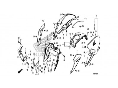 Cubre depósito derecho Honda CB 125 R ABS 2018 - 2020