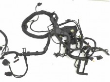 Sistema electrico motor Bmw R 1250 GS 2012 - 2020