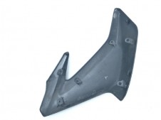 EMBELLECEDOR RADIADOR IZQUIERDO Kawasaki Z900 y z900 abs 2017 - 2019