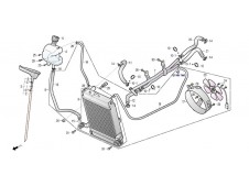 Radiador Daelim S3 250 FI Advance 2012 - 2016