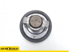 Termostato Yamaha tmax 500 2006-2007