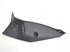 Embellecedor radiador interior izquierdo Kawasaki Z900 E 2020 - 2021