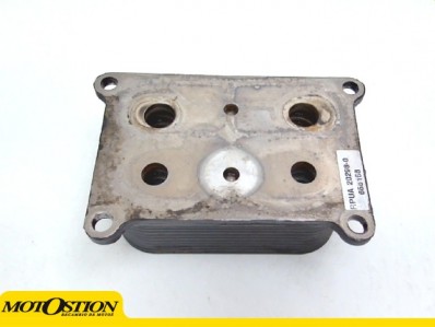 INTERCAMBIADOR DE ACEITE Bmw f800 r 2017 - 2019