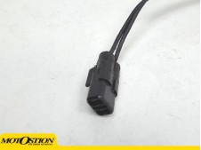 INTERRUPTOR PATA DE CABRA Triumph tiger explorer 1200 2012 - 2018