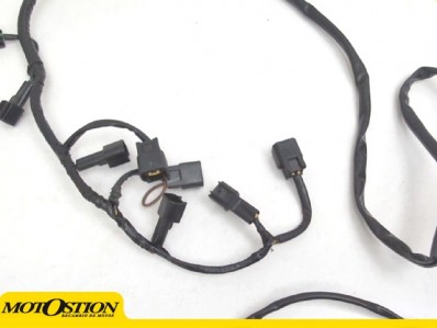 Quickshifter cambio semiautomatico Protmi-3