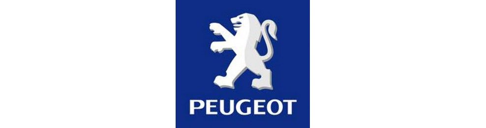 Recambios Peugeot Usados | Piezas de Desguace con Garantía
