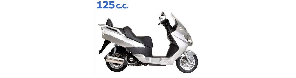 Recambios Daelim S2 125 2004-2006 | Despiece y piezas maxi-scooter