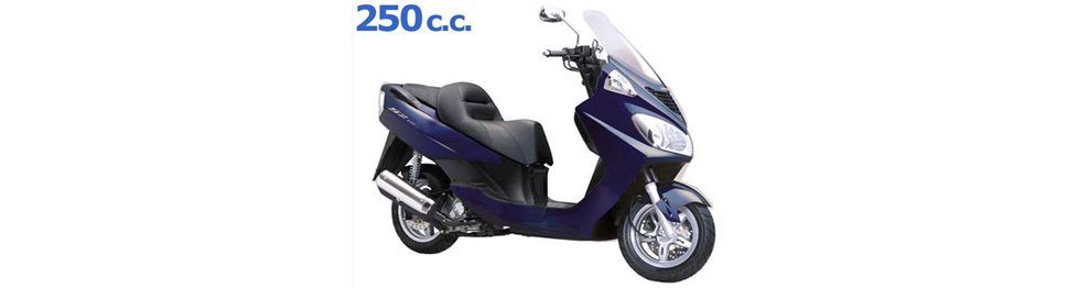 Recambios Daelim S2 250 2004-2007 | Despiece y piezas LC
