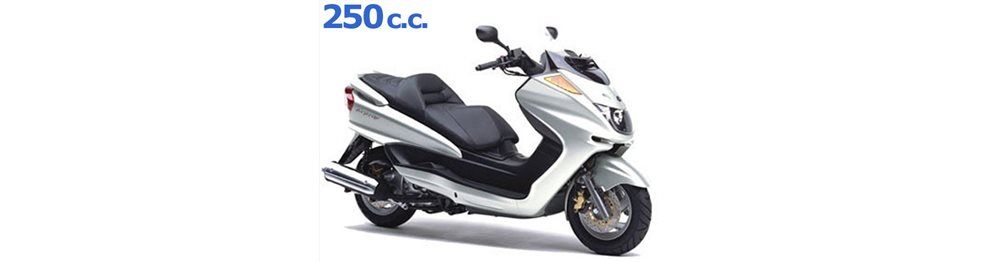 Recambios Yamaha Majesty 250 2003-2006 | Despiece y Piezas YP250
