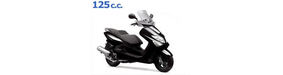 Recambios Yamaha Majesty 125 2007-2011 | Despiece y Piezas