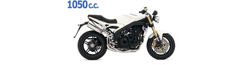 Recambios Triumph Speed Triple 1050 2006-2010 | Despiece y piezas