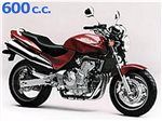 hornet 600 1998 - 2001