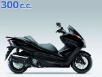 NSS 300 Forza ABS 2013 - 2017