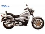 Csr custom 250 2005 - 2010
