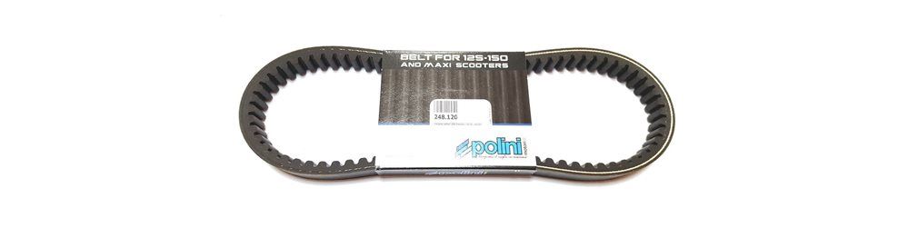 Correas de transmisión Polini