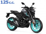 MT 125 2020 - 2024