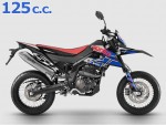 SX 125 2021 - 2024