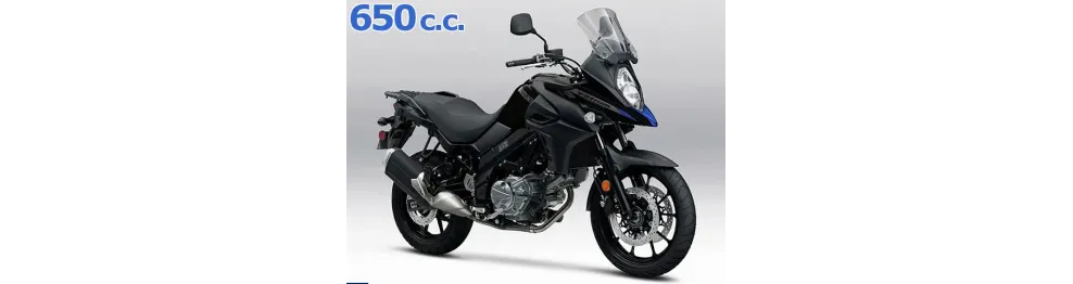 Recambios Suzuki DL 650 V-Strom (2021-2025)