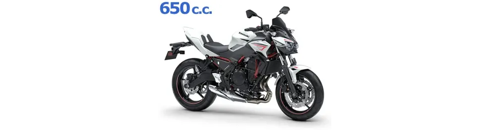 Recambios Kawasaki Z650 (2020-2025)