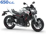 Z650 2020 - 2025