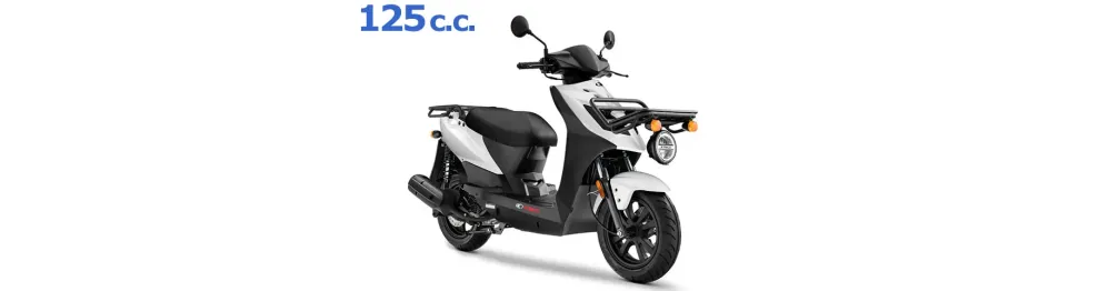 Recambios Kymco Agility Carry 125 2021-2022 | Despiece y Piezas Usadas